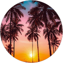Sara Farquhar profile picture